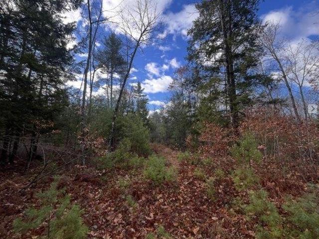 Land for sale in Bridgton, Maine