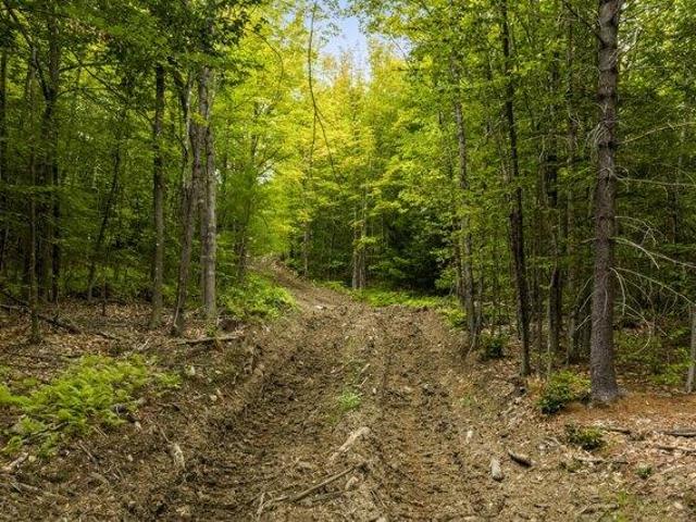 Land for sale in Sandy Creek, Bridgton
