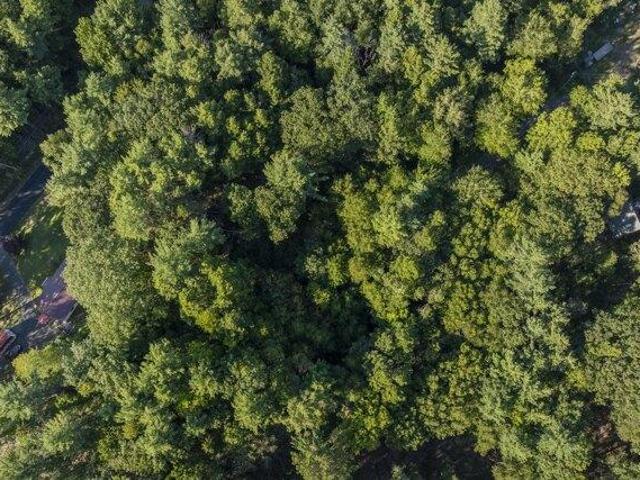Land for sale in Bristol, Maine