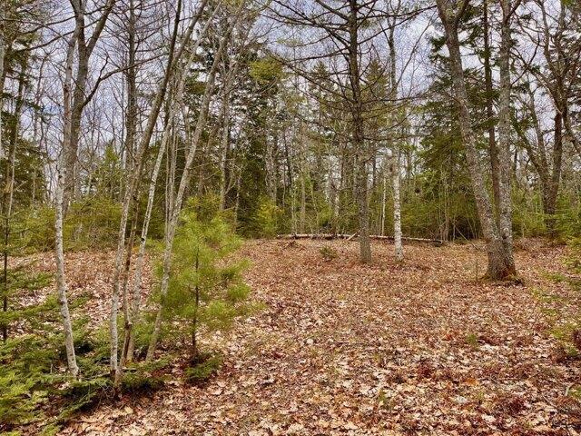 Land for sale in Bristol, Maine