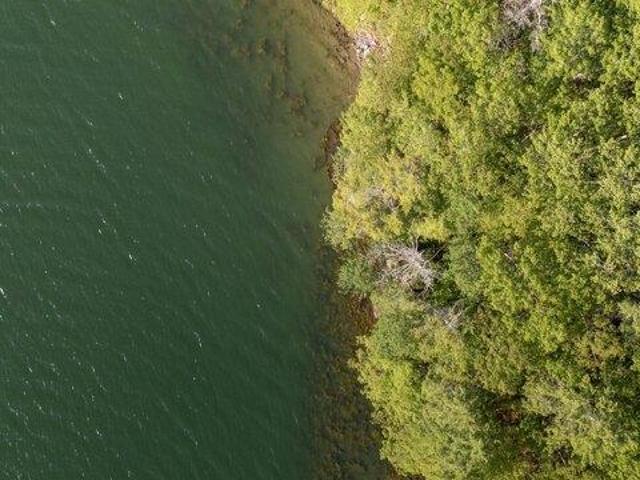 Land for sale in Damariscotta, Maine