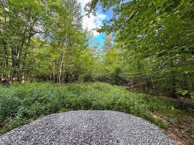 Land for sale in New Hampshire