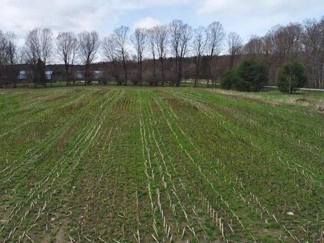Land for sale in Bristol, Vermont