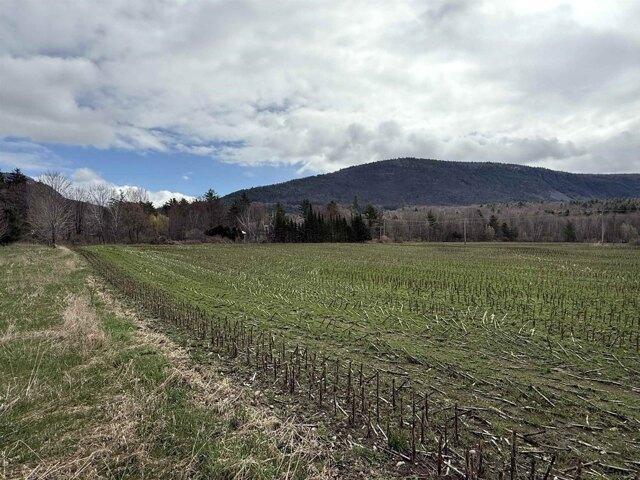 Land for sale in Bristol, Vermont