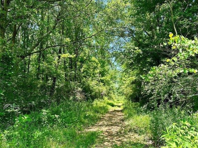 Land for sale in Brookhaven, Mississippi