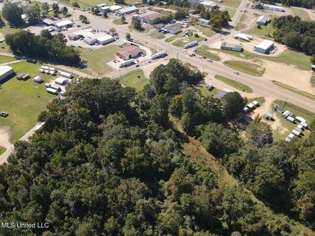 Land for sale in Bogue Chitto, Mississippi