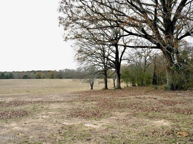 Land for sale in Bogue Chitto, Mississippi