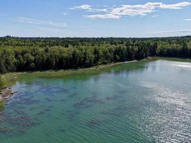 Land for sale in Brooklin, Maine