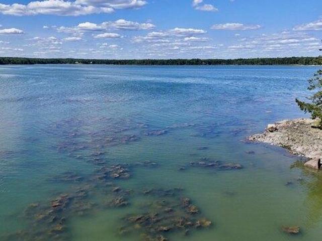 Land for sale in Brooklin, Maine