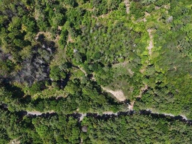 Land for sale in New Hampshire