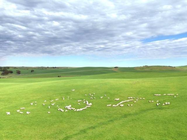 Land for sale in Broughton River Valley, South Australia