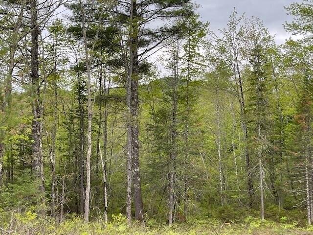 Land for sale in Brownfield, Maine