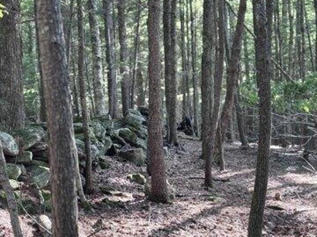 Land for sale in Buckfield, Maine