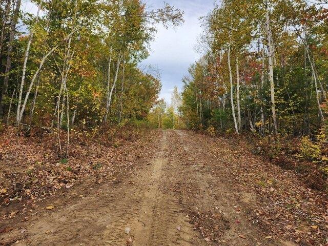 Land for sale in Buckfield, Maine