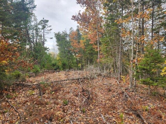 Land for sale in Buckfield, Maine