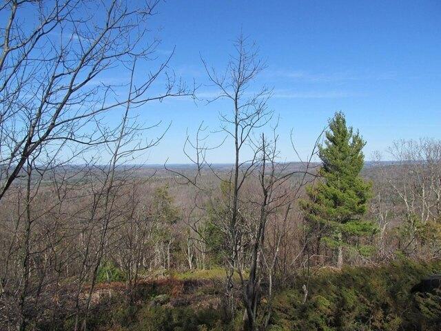Land for sale in Buckfield, Maine