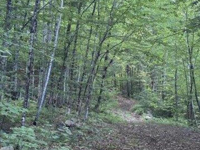 Land for sale in Buckfield, Maine