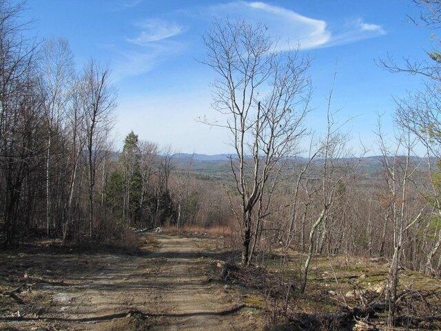 Land for sale in Buckfield, Maine