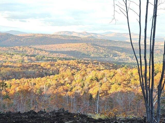 Land for sale in Buckfield, Maine