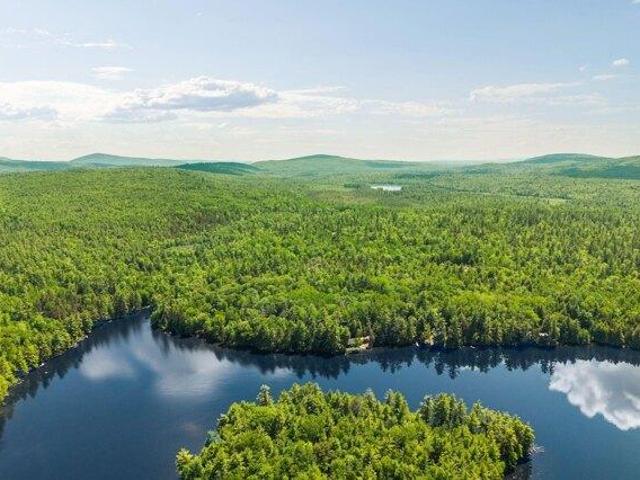 Land for sale in Bucksport, Maine