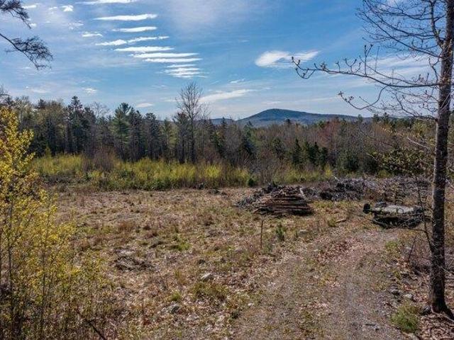 Land for sale in Bucksport, Maine