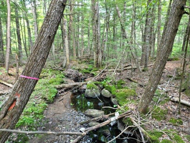 Land for sale in Burlington, Maine