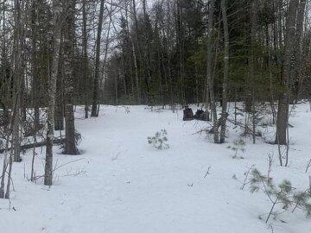 Land for sale in Burlington, Maine