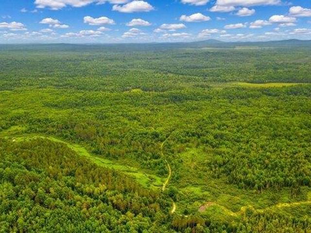 Land for sale in Waldo, Maine
