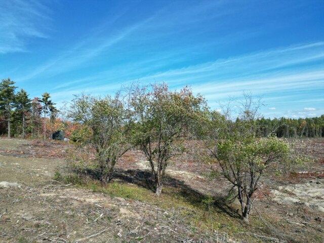 Land for sale in Twitchell Corner, Burnham