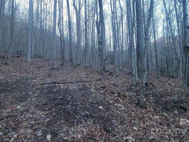 Land for sale in Yancey, North Carolina