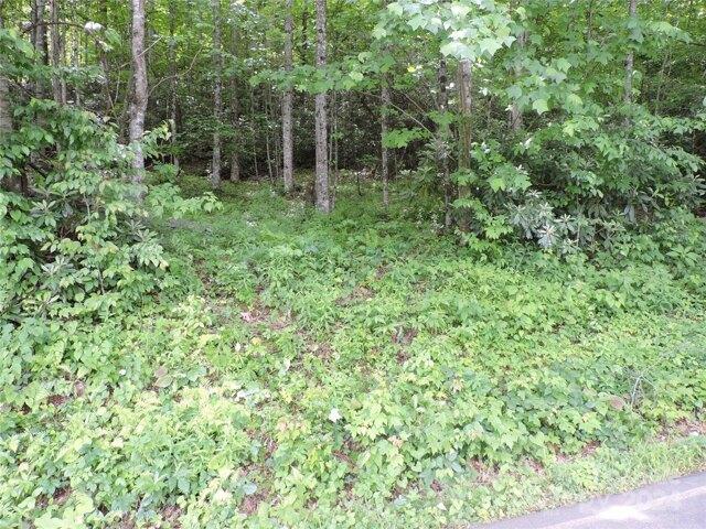 Land for sale in Yancey, North Carolina