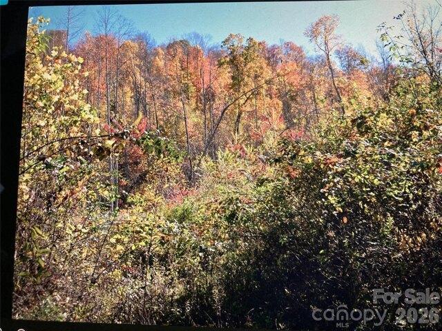 Land for sale in Yancey, North Carolina