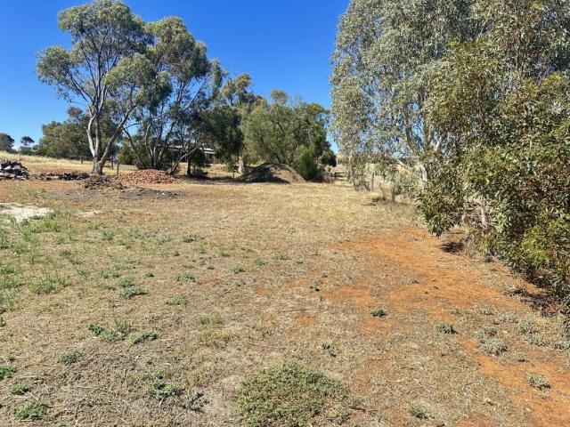 Land for sale in Goyder, South Australia