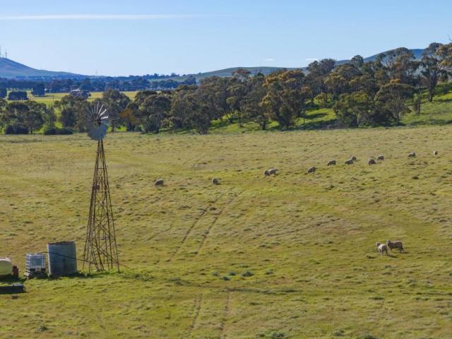 Land for sale in Goyder, South Australia
