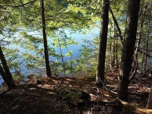 Land for sale in Saco, Maine