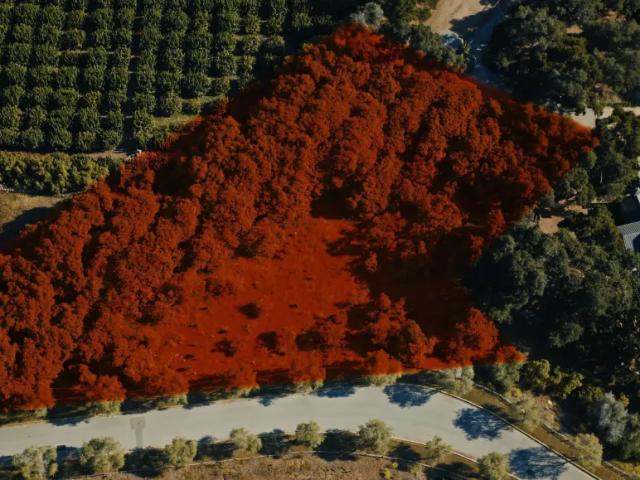 Land for sale in Carpinteria, California