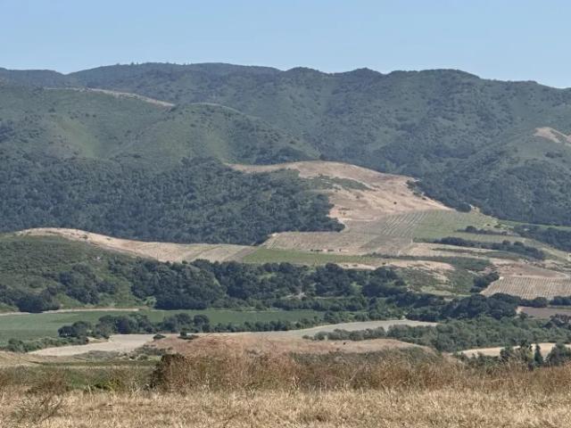 Land for sale in California