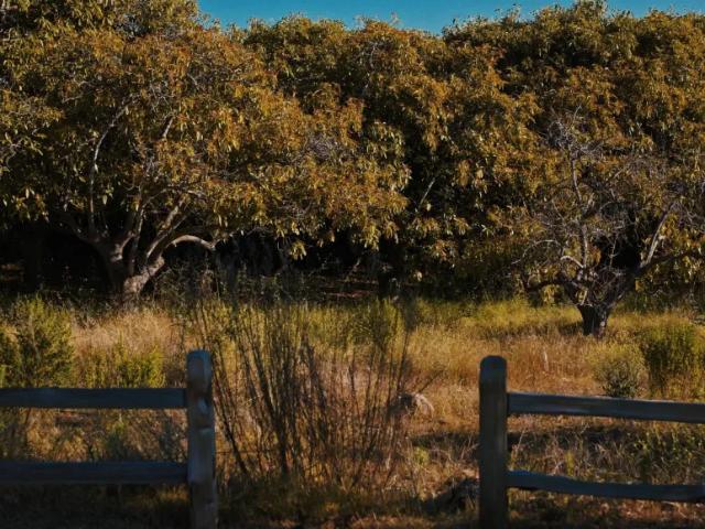 Land for sale in Carpinteria, California