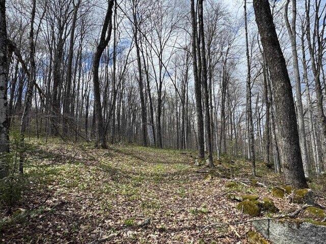 Land for sale in Cabot, Vermont