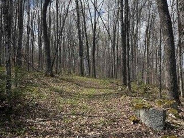 Land for sale in Cabot, Vermont