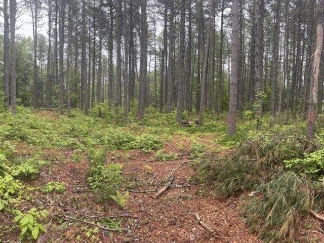Land for sale in Calais, Maine