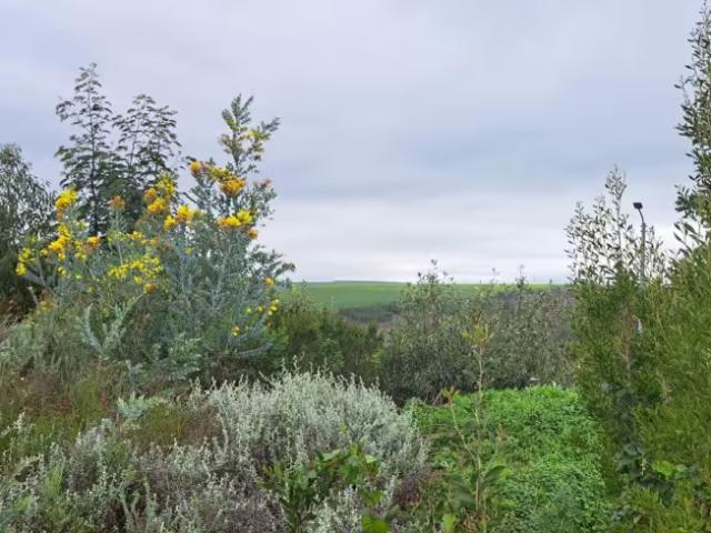 Land for sale in Caledon, Western Cape
