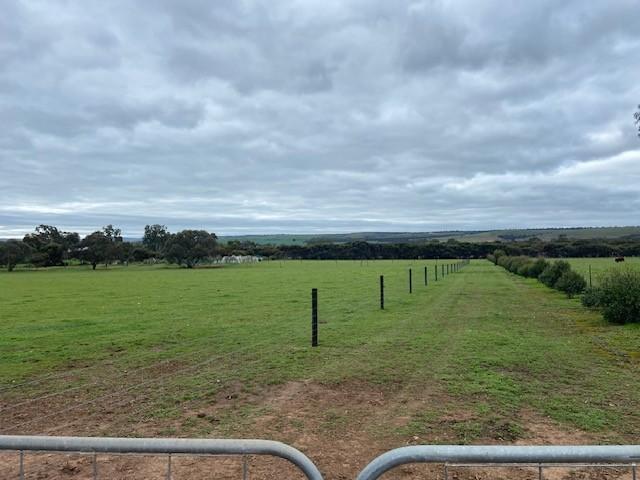Land for sale in Callington, South Australia