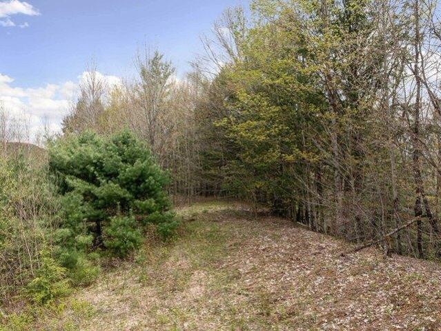 Land for sale in Cambridge, Vermont