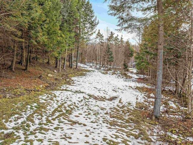 Land for sale in Cambridge, Vermont