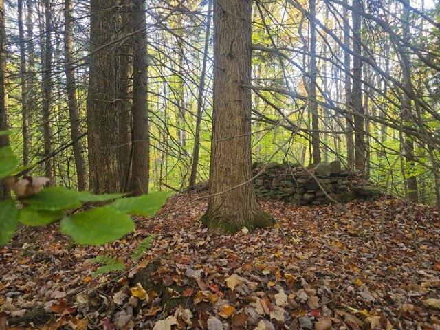 Land for sale in Oneida, New York