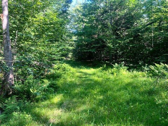 Land for sale in Oneida, New York