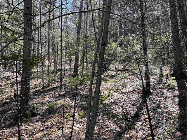 Land for sale in New Hampshire