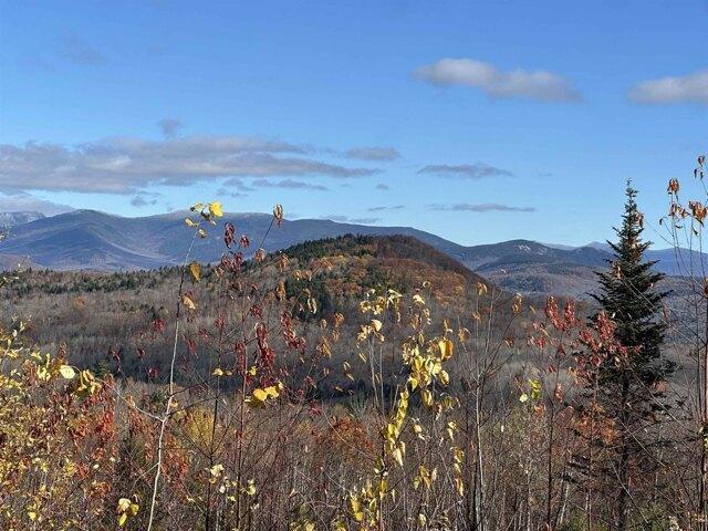 Land for sale in New Hampshire