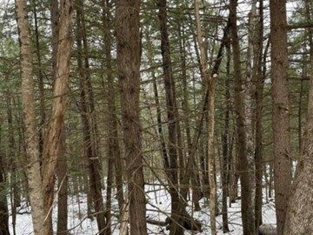 Land for sale in New Hampshire